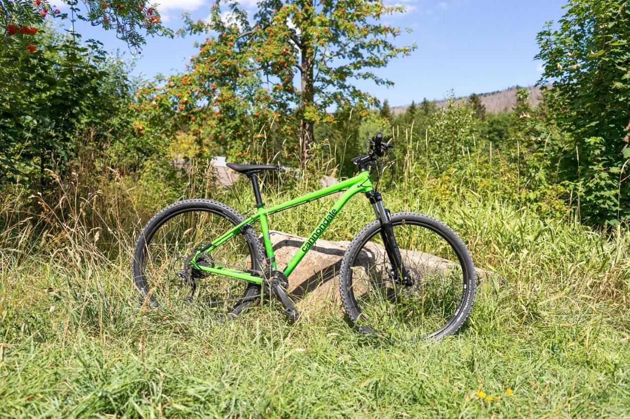 Ferienanlage Zum Wildbach Schierke Extérieur photo