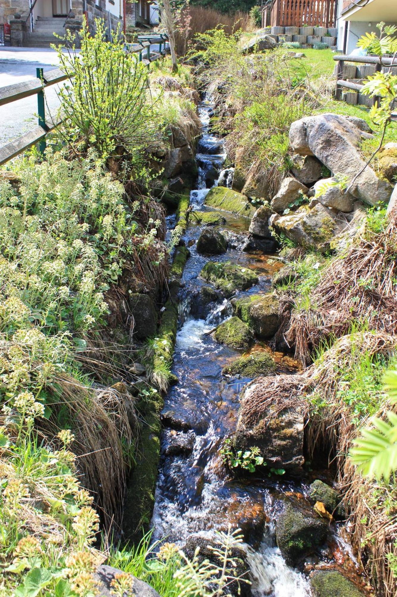 Ferienanlage Zum Wildbach Schierke Extérieur photo